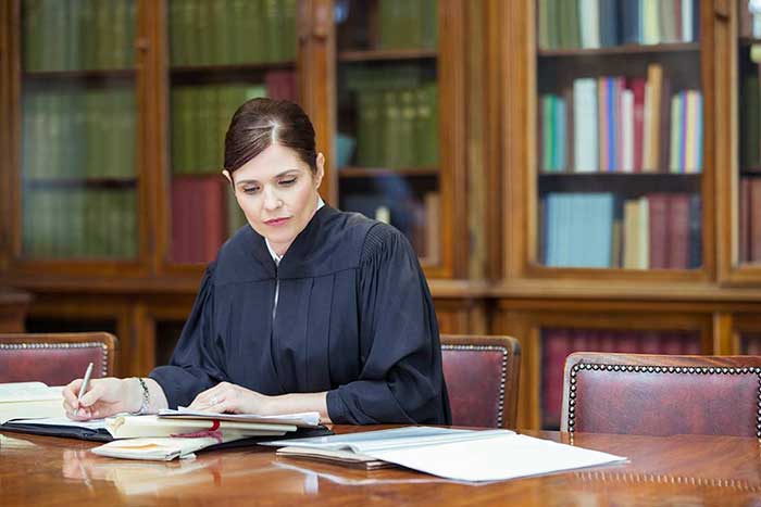 Lady lawyer doing her work